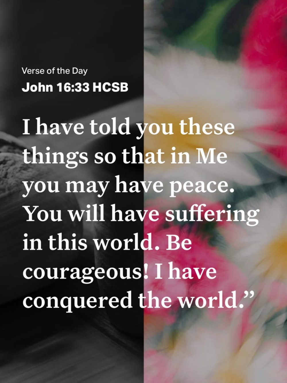 Inspirational John 16:33 Verse Art - Floral Gradient